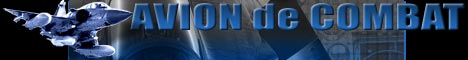 Guide des Avions de Combats