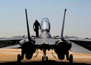 Photo du F-14 Tomcat de Grumman