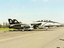 Photo du F-14 Tomcat de Grumman