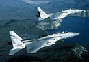 Photo du McDonnell Douglas F-15 Eagle